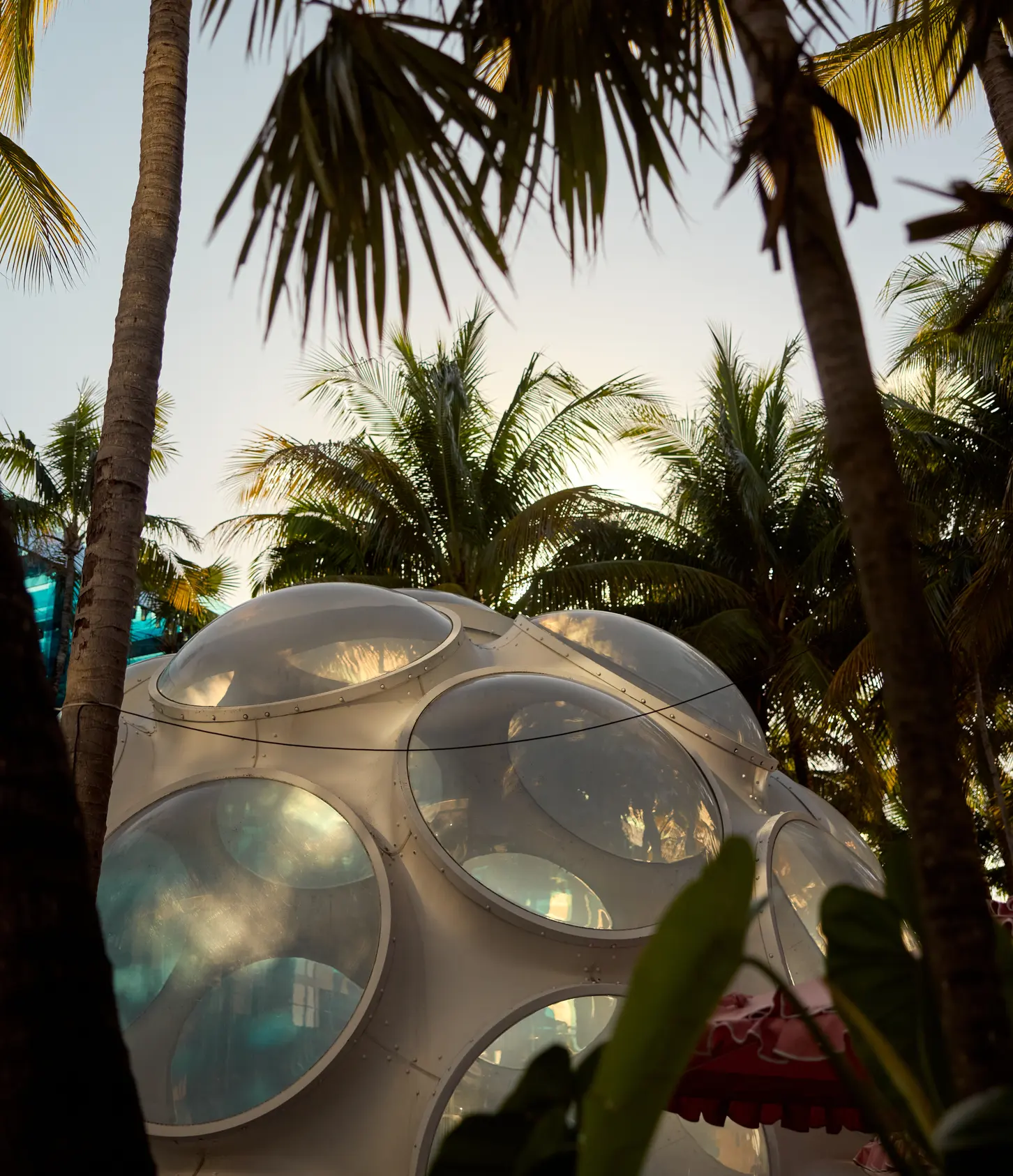 The Fly’s Eye Dome among palms in the Design District